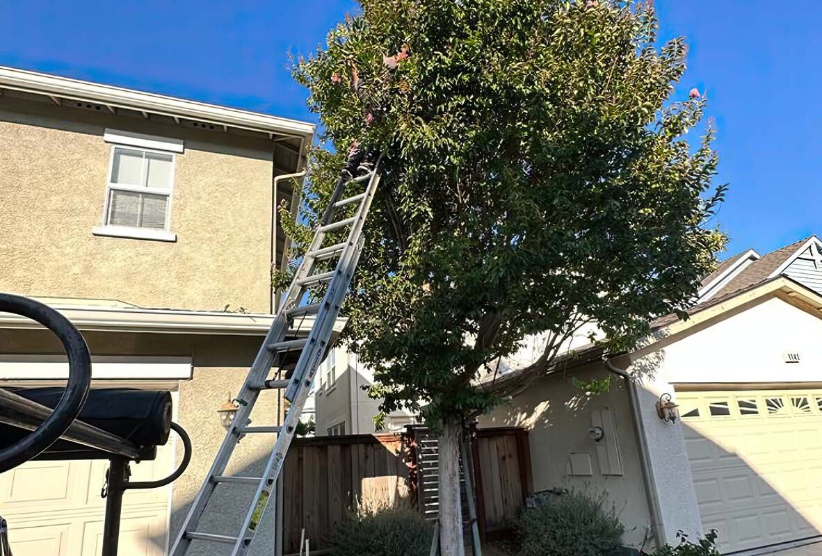 zrehtjyrkutyrt zrehtjyrkutyrt